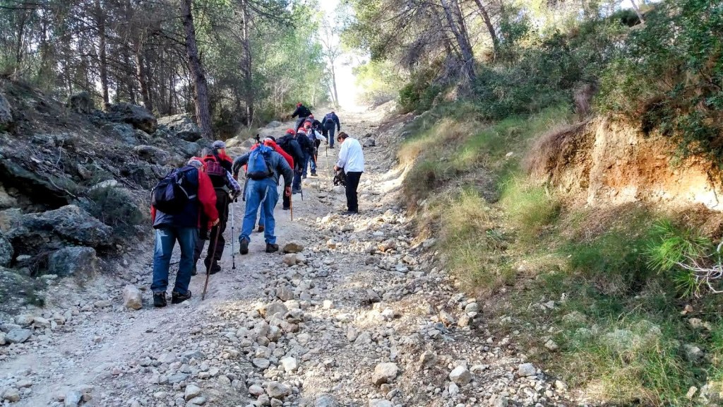 Grupo de senderistas ascendiendo por un camino de tierra en la Sierra de Na Burguesa, rodeados de árboles y vegetación.