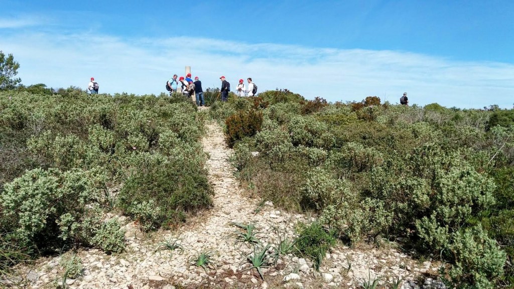 Grupo de senderistas en la cima del Puig Gros de Bendinat rodeados de vegetación y vistas al horizonte.
