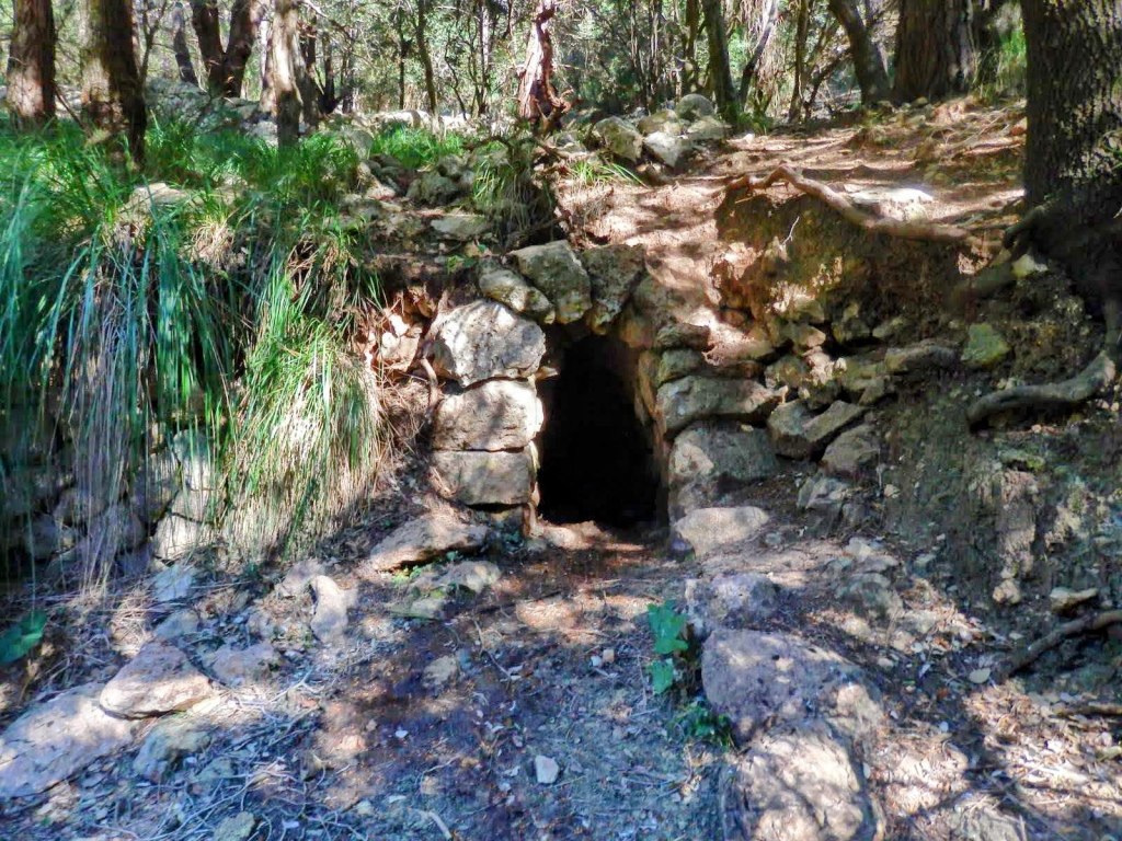 Entrada a la font de sa Pega, rodeada de vegetación, en un entorno forestal.