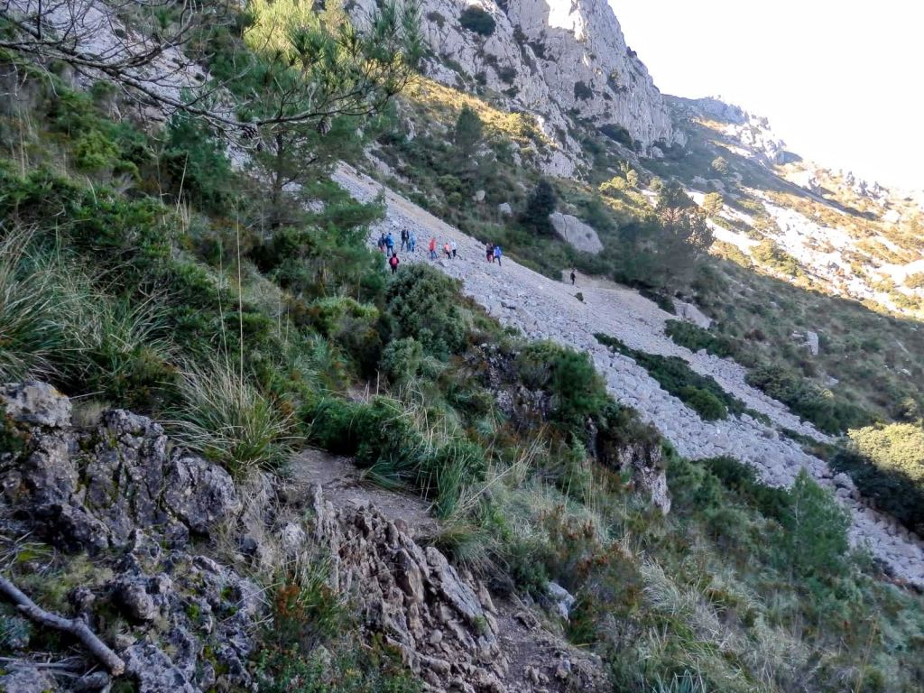 Grupo de senderistas ascendiendo por un camino rocoso en la ruta Puig de Galatzó-Pas des Ratxo, rodeados de vegetación montañosa.