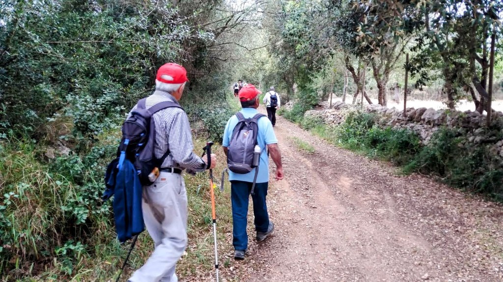 Grupo de senderistas caminando por un camino rural rodeado de vegetación en la ruta Biniali y caminos de los alrededores.