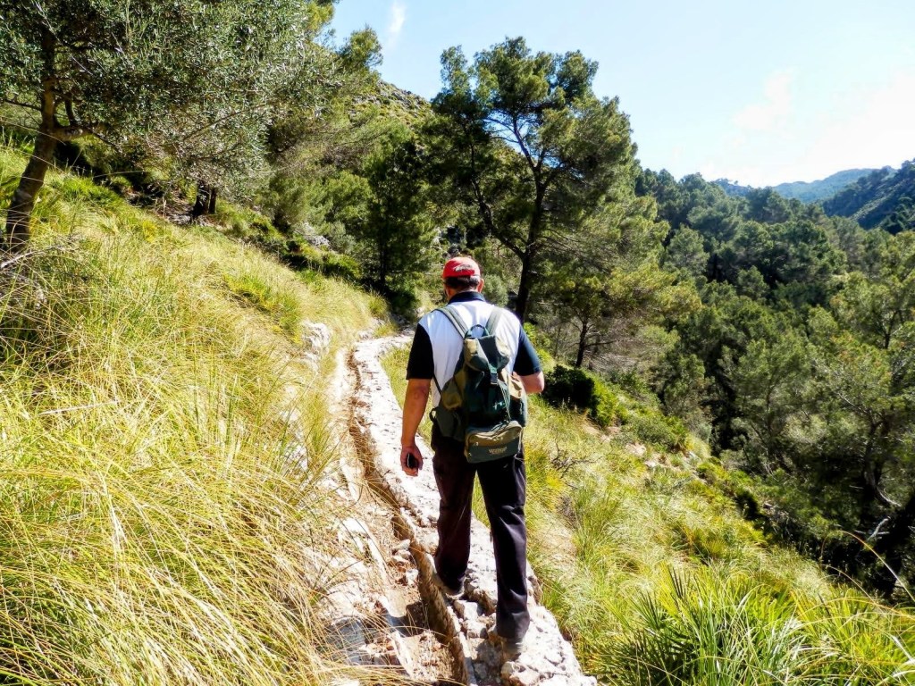 Hombre caminando por la Sìquia des Rantxo, rodeado de vegetación y árboles en la ruta hacia el Puig de Galatzó en Mallorca.