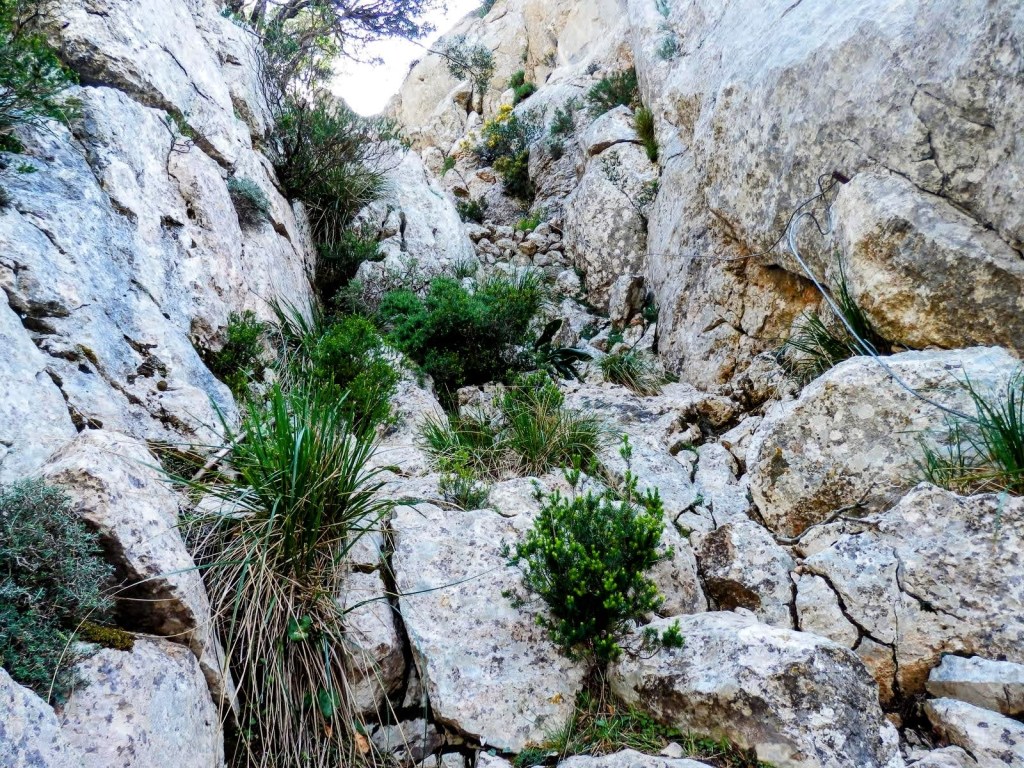 PAS D’EN BISQUERRA desde&nbsp;Binibona