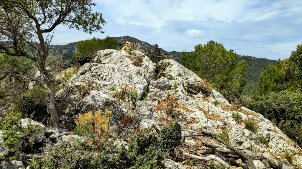 Rocas y vegetación en el entorno del Puig des Voltor, con árboles y montañas al fondo.