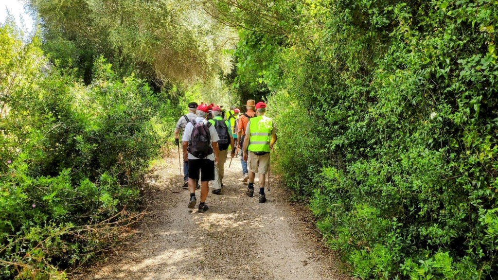 Grupo de personas caminando por un sendero estrecho rodeado de vegetación, en un ambiente natural durante una excursión.