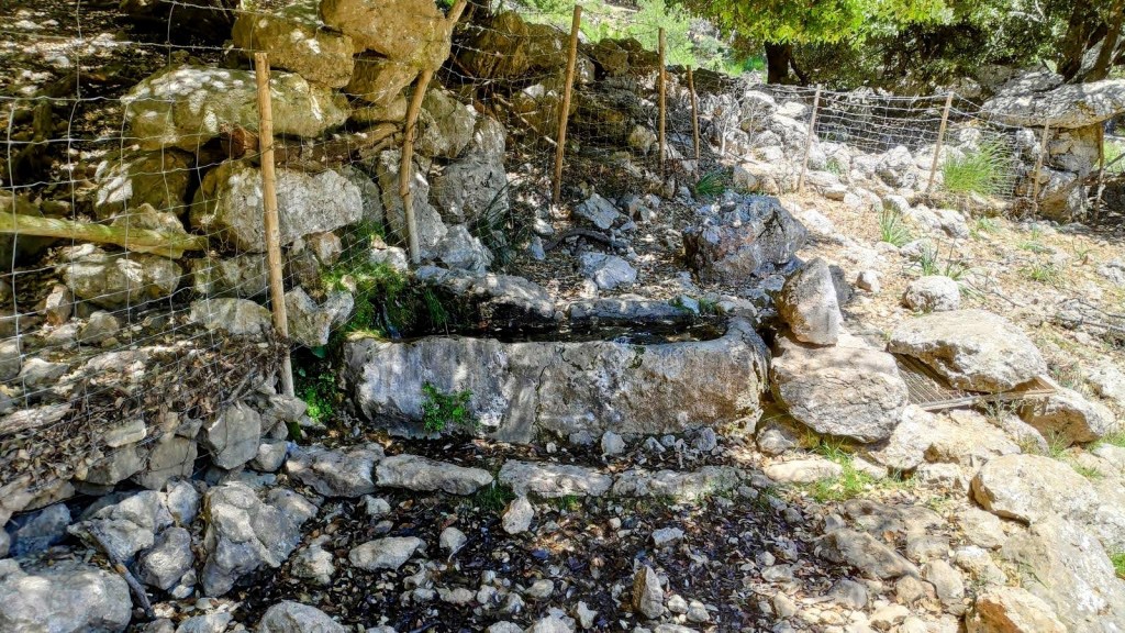 Fuente de piedra, conocida como Font de sa Parra, situada en un entorno rocoso con vegetación natural, con un pequeño chorro de agua que fluye hacia una pila rectangular.