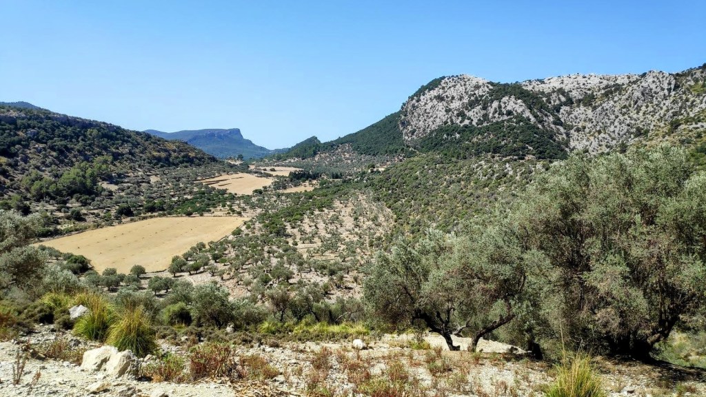 PUIG DE SA FONT SECA desde&nbsp;Orient