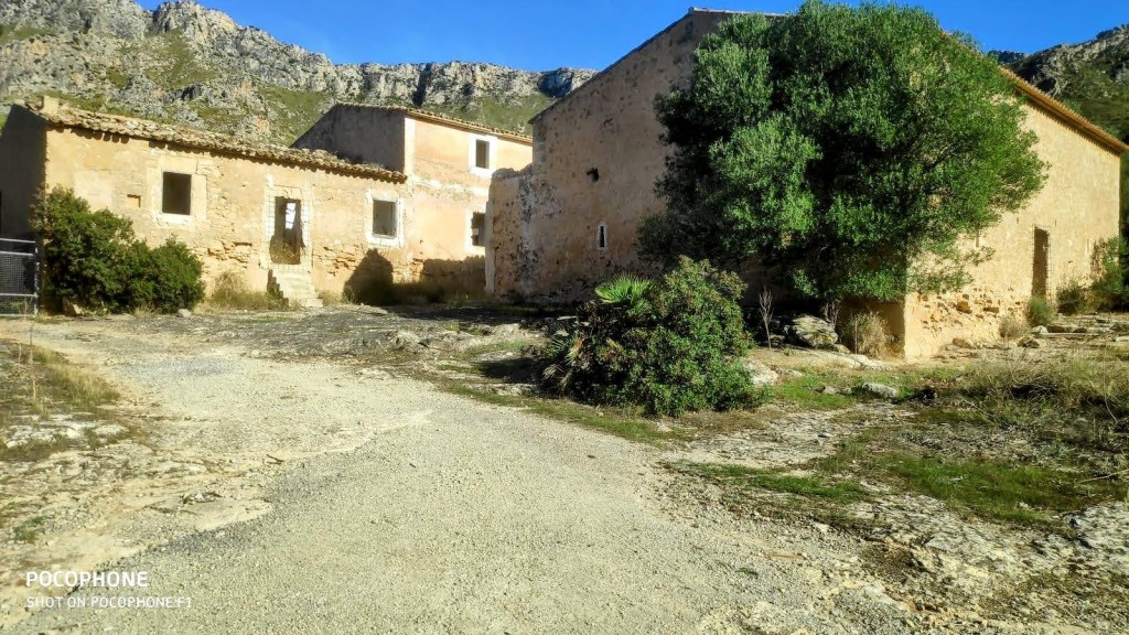 Vista de las casas deshabitadas en la Urbanización de Betlem, rodeadas de vegetación y con montañas al fondo.