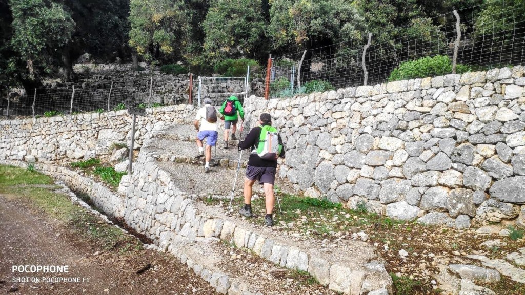 Grupo de excursionistas subiendo por un camino de piedra en la Ruta Vuelta al Puig Roig, rodeados de vegetación y muros de piedra.