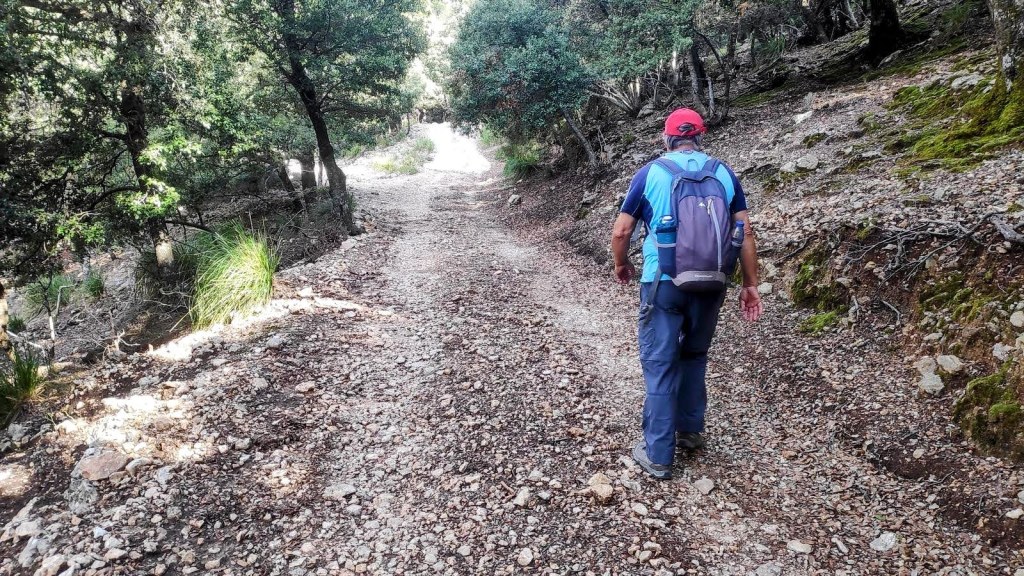 Senderista caminando por un camino forestal pedregoso rodeado de vegetación en la Ruta Cúber desde Orient.