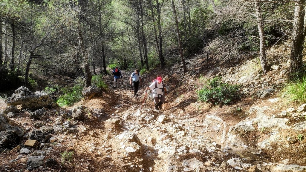 GENOVA-SON VIDA-LES PEDRERES