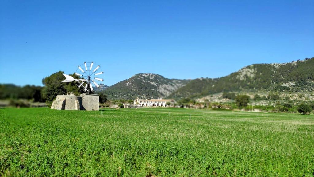 Vista de un molino de viento sobre un fondo de campos verdes y montañas, bajo un cielo despejado.