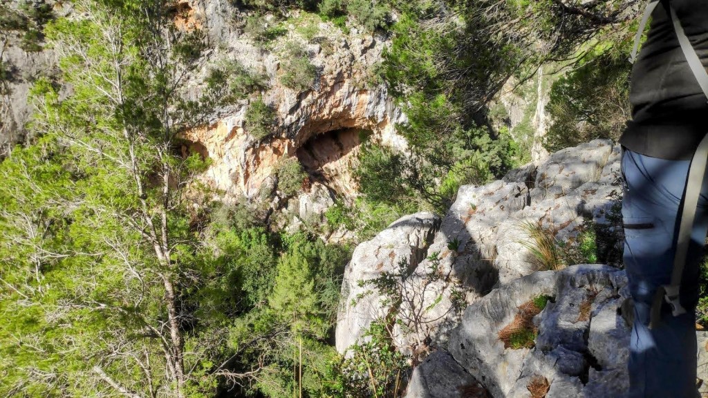 Vista del paisaje montañoso con arbustos y árboles, mostrando una cueva en la parte superior de la imagen.