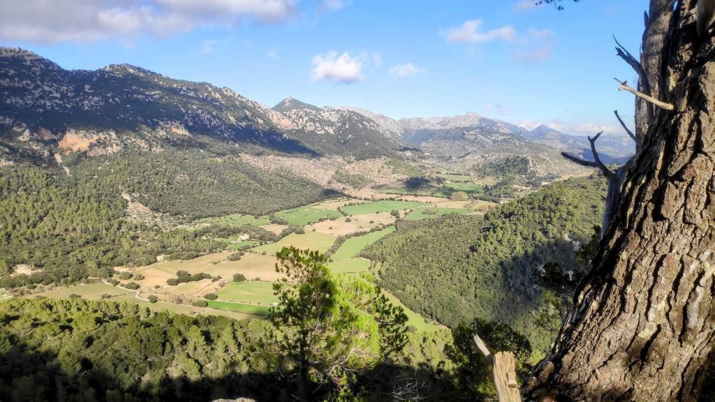 Vista panorámica del valle de Orient rodeado de montañas, con campos verdes y árboles en primer plano.