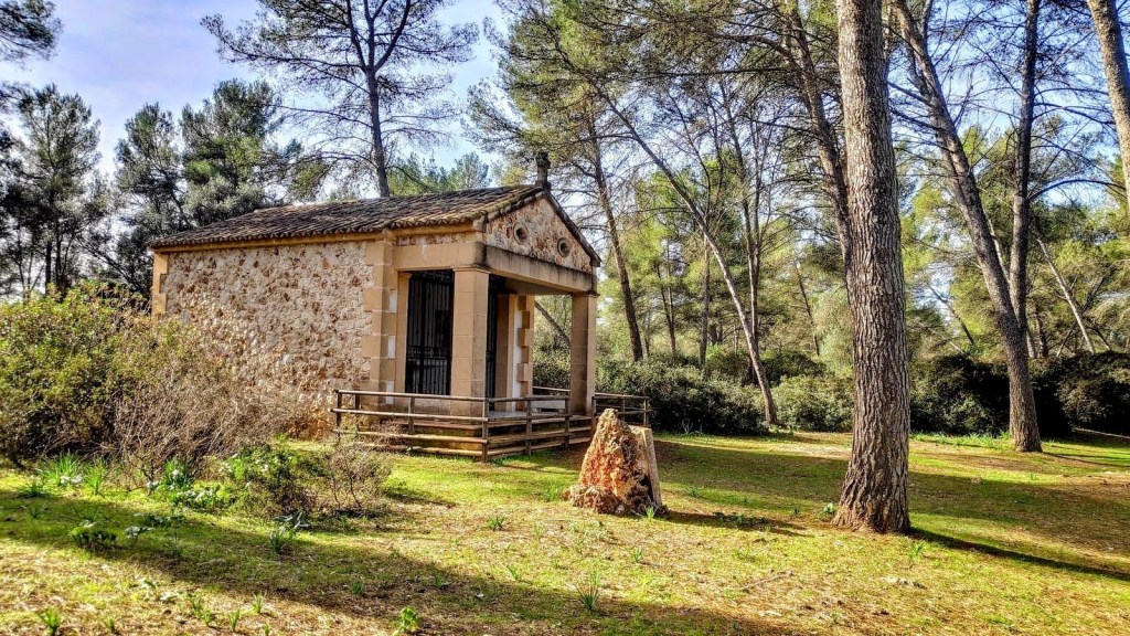 Pequeña capilla en un entorno forestal de pinos, con un banco de madera y una roca a su lado, rodeada de vegetación