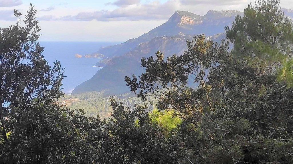 Vista panorámica de la costa de Banyalbufar con montañas al fondo y vegetación en primer plano.