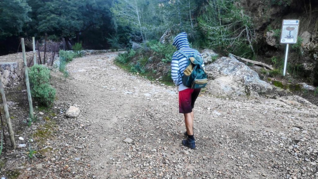 Un senderista de espaldas camina por un camino de tierra, rodeado de vegetación y con un cartel informativo al fondo.