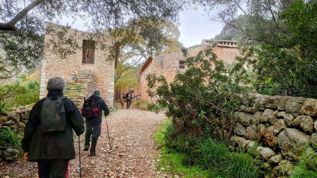 Grupo de excursionistas caminando por un sendero cerca de Raixeta, rodeados de vegetación y naturaleza.