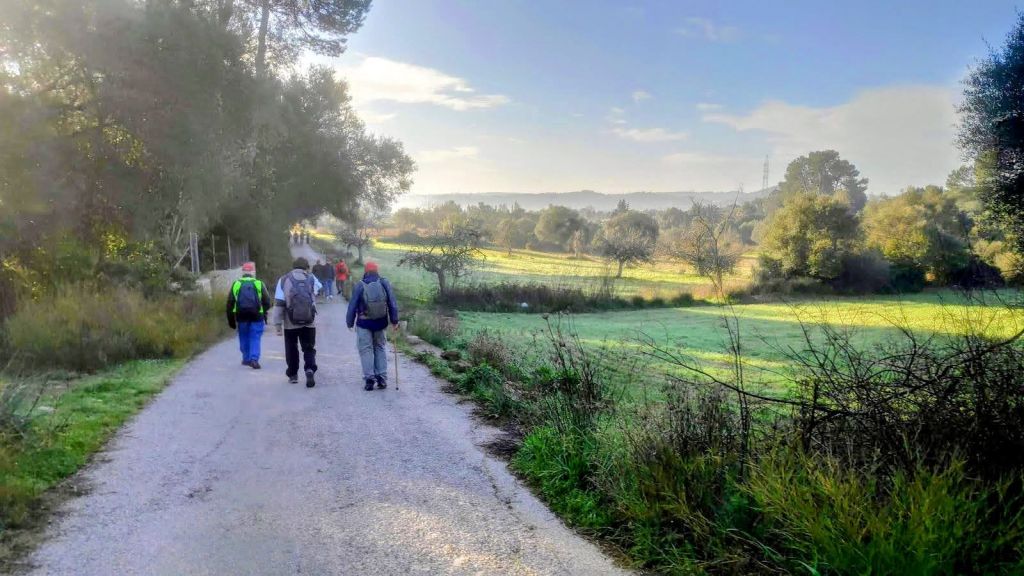 Grupo de senderistas caminando por un camino rural en un día despejado, rodeados de árboles y prados verdes.
