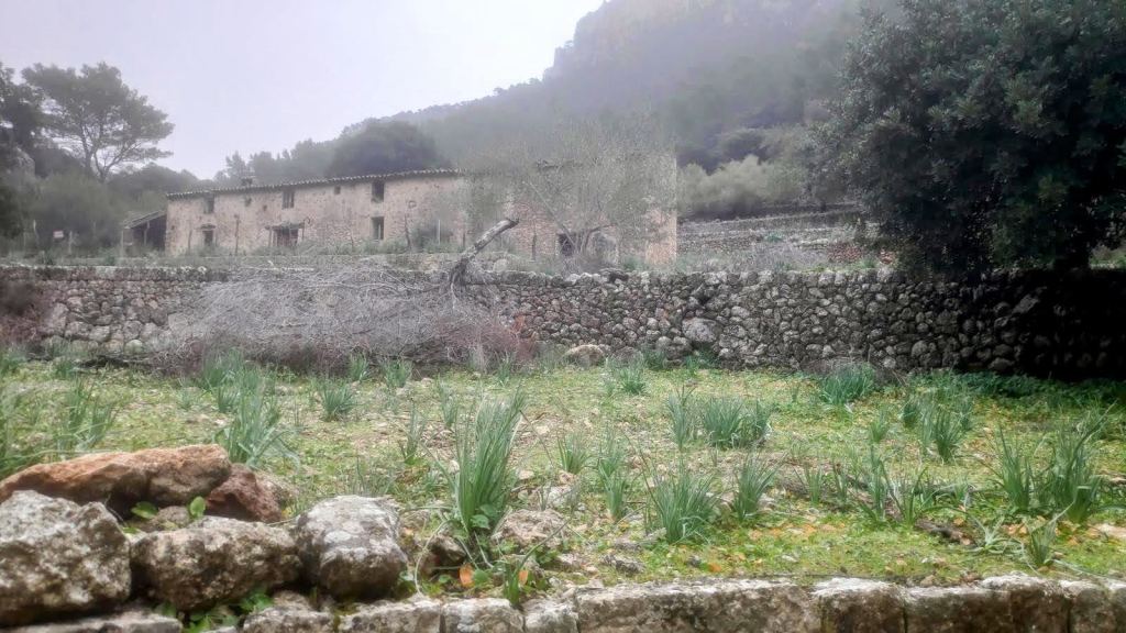 Vista de las antiguas cases de sa Font Figuera, ahora abandonadas, con un paisaje de piedras y vegetación.