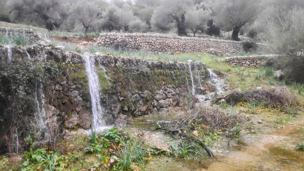 Imagen de un paisaje rural con agua fluyendo por un pequeño canal formado por piedras, rodeado de vegetación y árboles de olivo en el fondo.