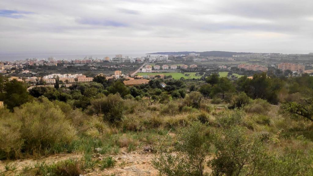 Vista panorámica de la costa y el paisaje urbano desde un sendero cerca del Puig de Sa Font en Son Servera, Mallorca. Se observan edificios, campos verdes y un cielo nublado.