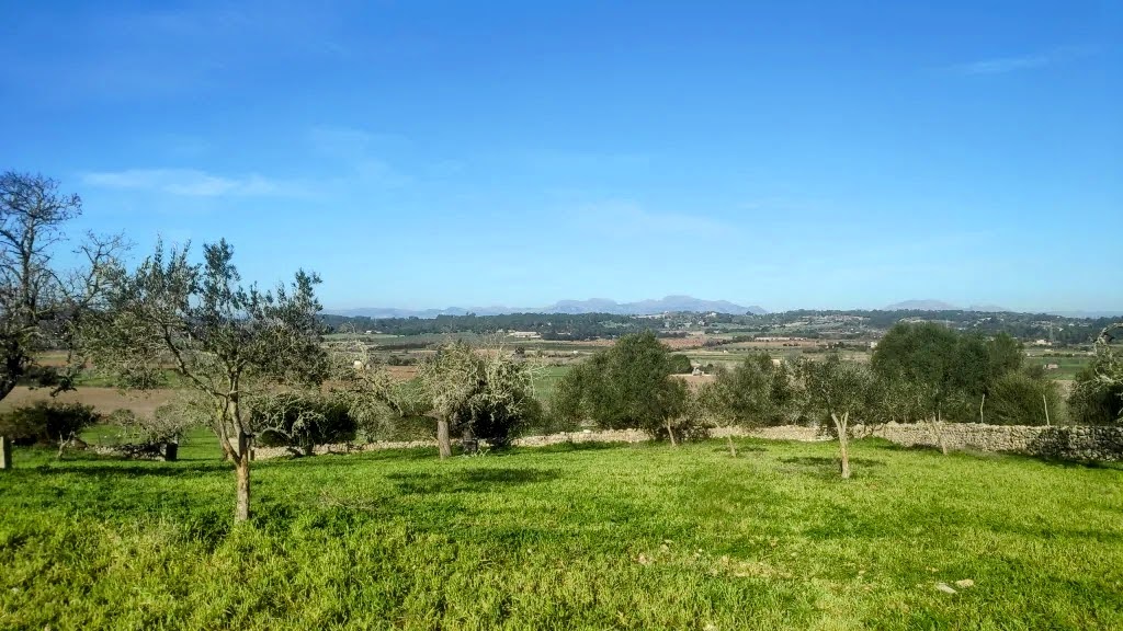 MARIA DE LA SALUT y alrededores&nbsp;3