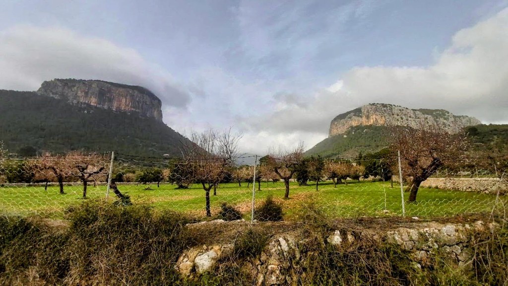 VUELTA AL PUIG DE s’ALCADENA y subida al PUIG DE SANT&nbsp;MIQUEL