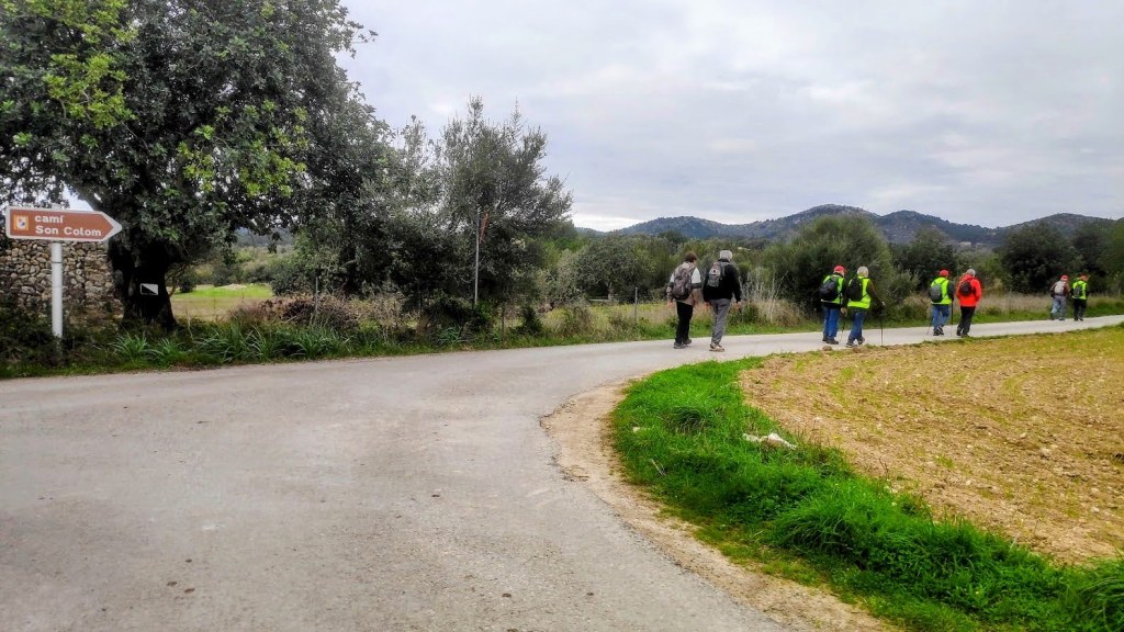 Grupo de senderistas avanzando por un camino rural junto a una señal que indica 'Camí de Son Colom', con campos y montañas de fondo.