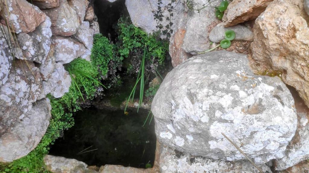 Fuente natural oculta entre rocas, rodeada de vegetación verde.