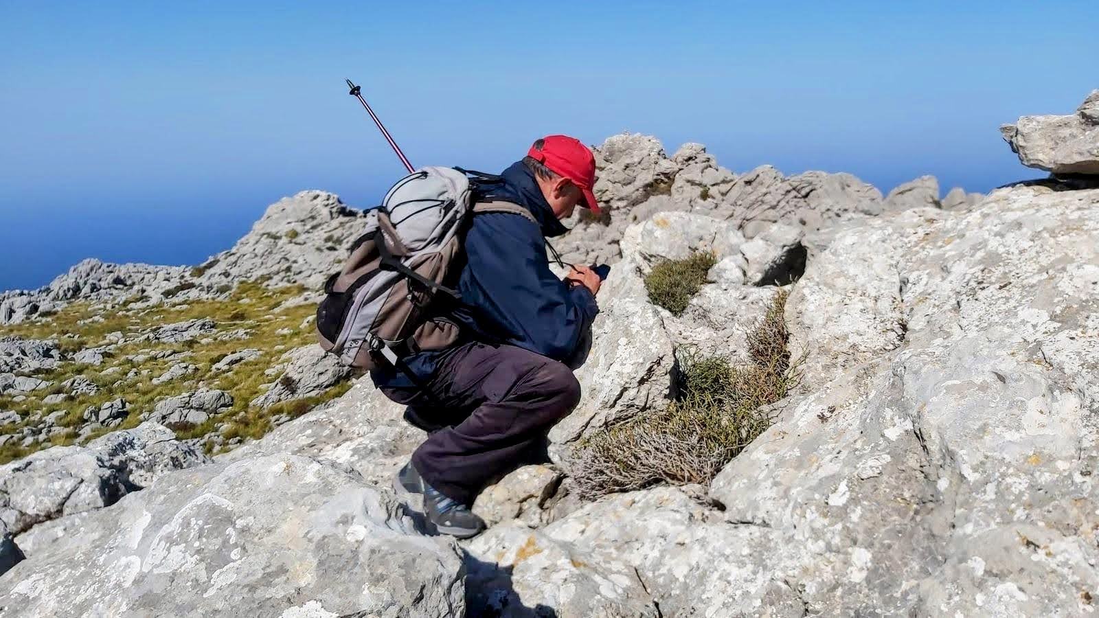 Un excursionista con mochila se apega a una roca en la montaña de Moncaire, con un paisaje de rocas y hierba de fondo y el cielo azul claro.