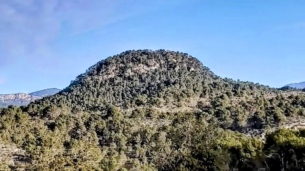 PUIG DE NA&nbsp;BAUÇANA