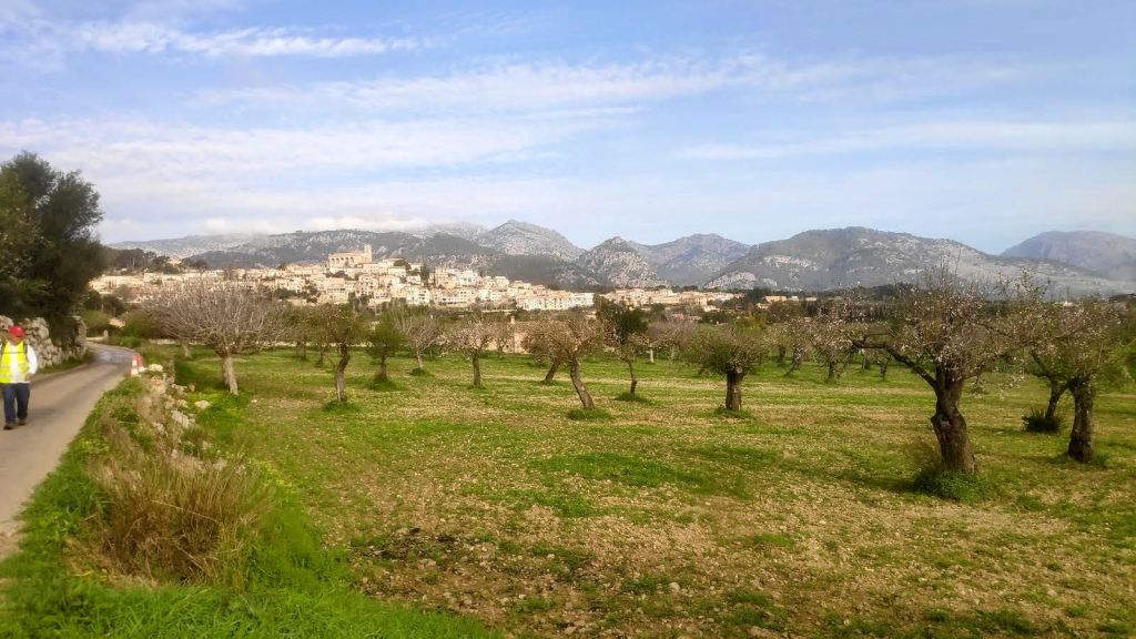 SELVA- MOSCARI y&nbsp;alrededores