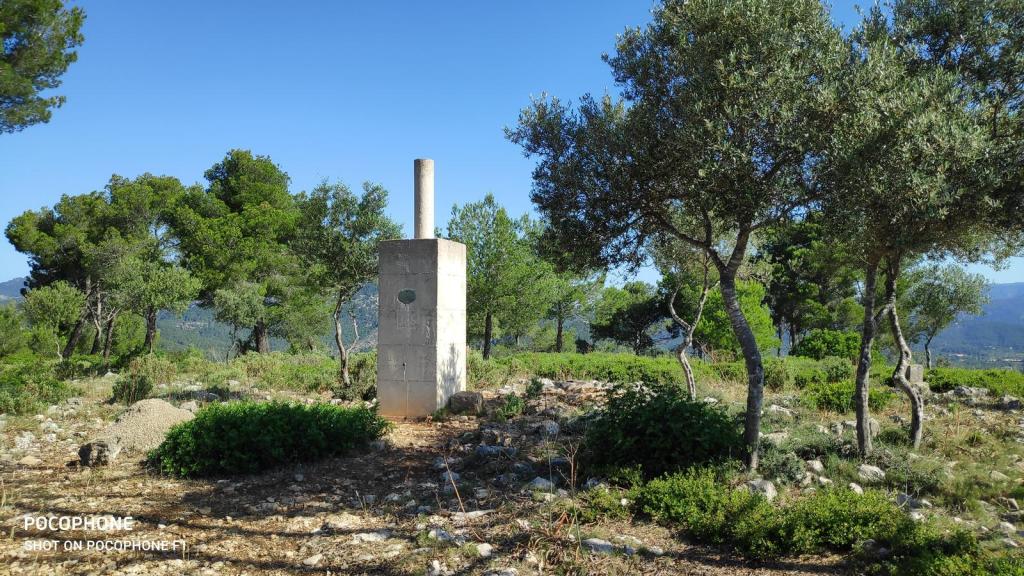 Vista del vértice geodésico en la cima del Puig des Revells rodeado de vegetación, con árboles en el fondo y montañas a la distancia.