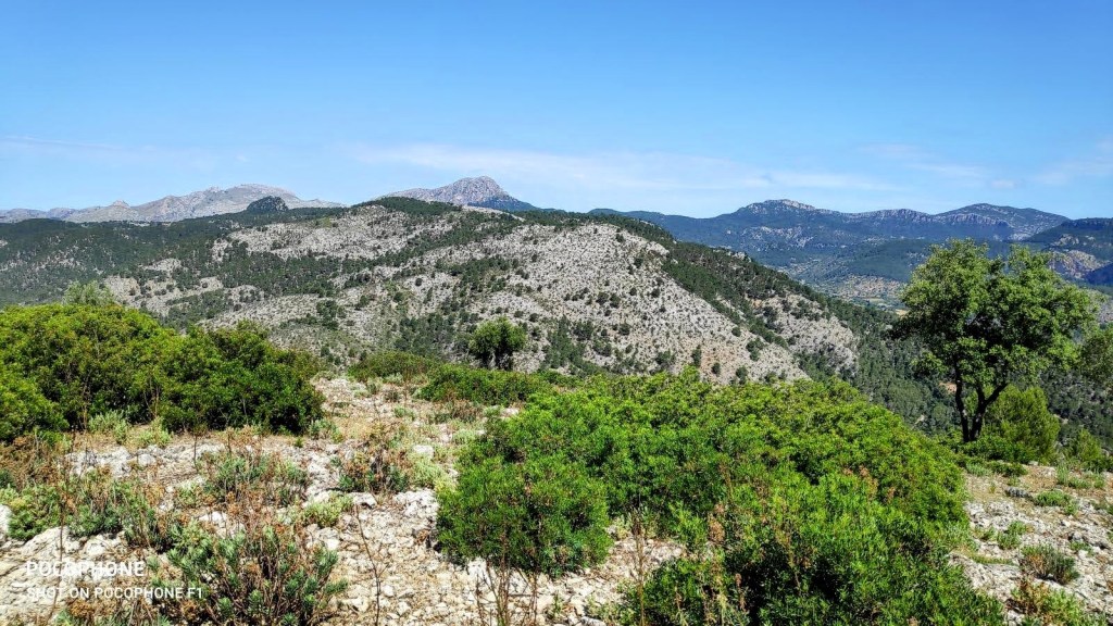 Vista panorámica de montañas y vegetación desde un Mirador Natural, mostrando la belleza natural de la Sierra de Naburguesa.