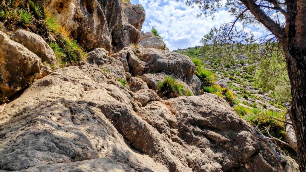 Vista del Pas de sa Trapa en la ruta hacia La Trapa, con vegetación a los lados y un cielo parcialmente nublado.