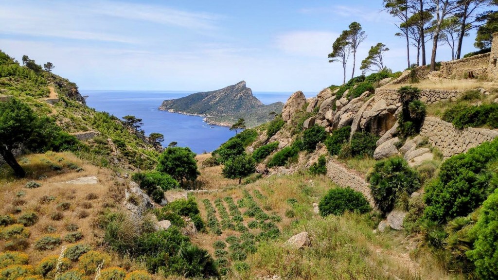 Vista panorámica de la isla de Dragonera desde un sendero en la Ruta La Trapa, rodeado de vegetación y rocas.