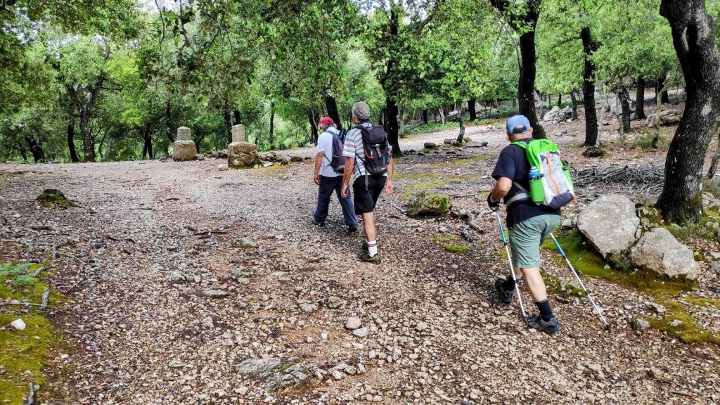 Grupo de senderistas llegando al  Coll de Sa Línea o de Mancor, caminando por un camino de tierra rodeado de árboles en la Serra de Tramuntana.