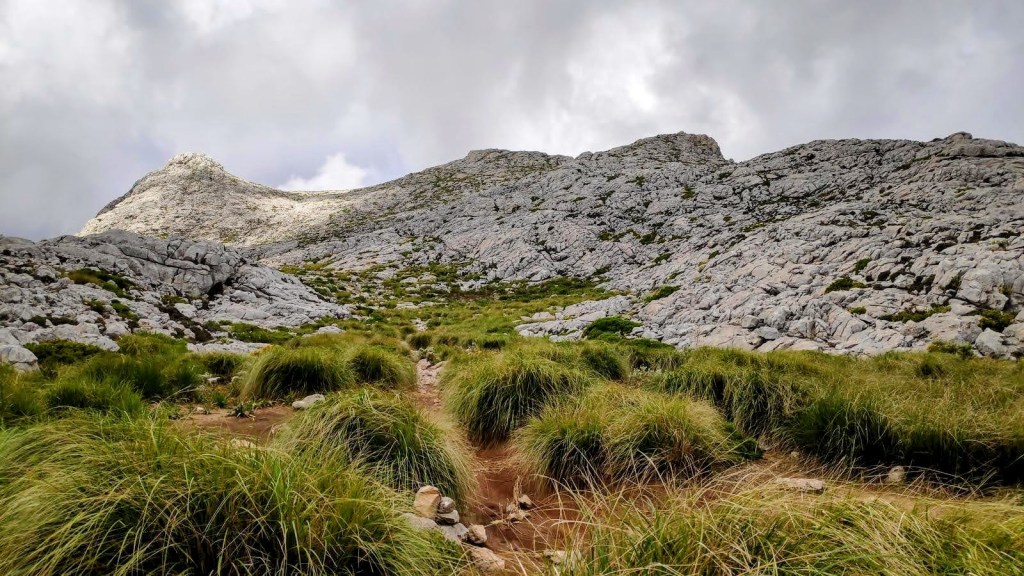 Vista del camino rodeado de hierba alta, con formaciones rocosas y montañas al fondo bajo un cielo nublado.