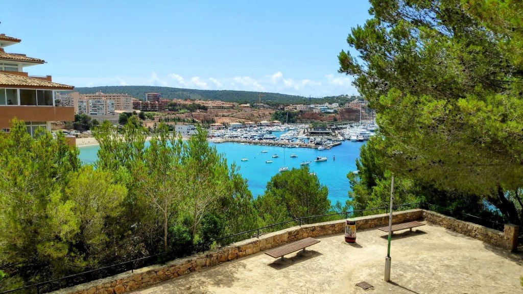 Vista panorámica del puerto deportivo de Port Adriano, con embarcaciones en el agua y árboles en primer plano, capturando un día soleado en la zona.