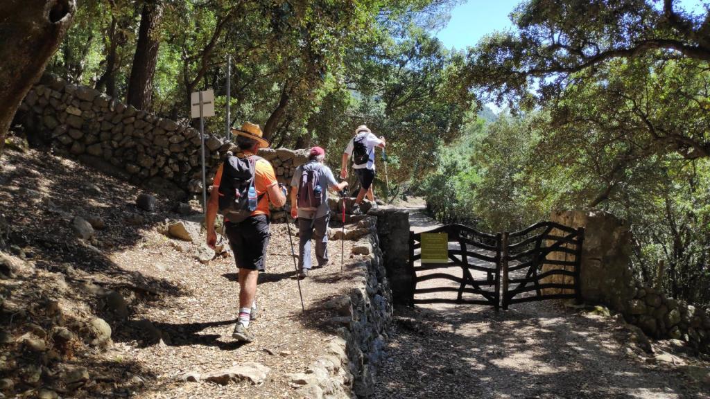 Cuatro senderistas caminando por un camino boscoso con una valla de madera y señalización en su recorrido hacia el Puig des Teix desde Sóller.