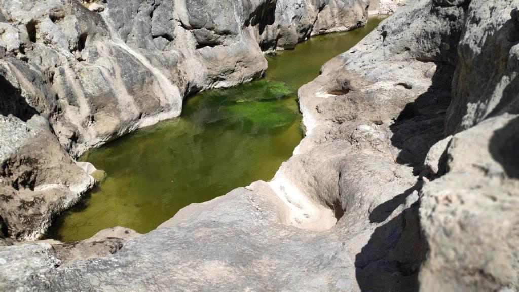 Vista cercana del Gorg Llarg rodeado de rocas en la Ruta Torrente de Mortitx, con agua de color verde claro.