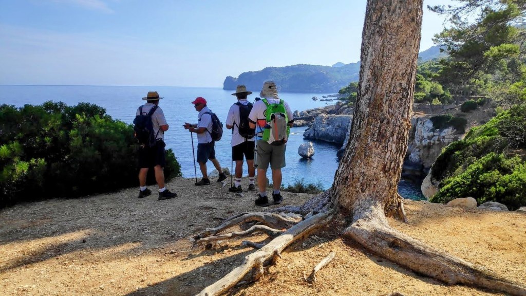 Grupo de excursionistas observando la costa desde un mirador natural en la Ruta La Muleta, con mar y rocas al fondo.