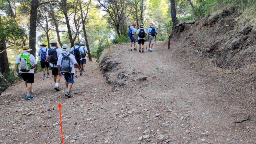 Grupo de senderistas caminando por un sendero boscoso en la ruta Port del Canonge-Cova de Na Bernarda.