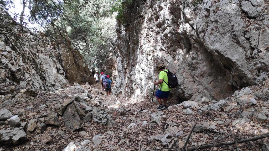 Senderistas caminando el Pas de sa Mola, un estrecho sendero rocoso, rodeado de paredes de piedra y vegetación en el bosque.