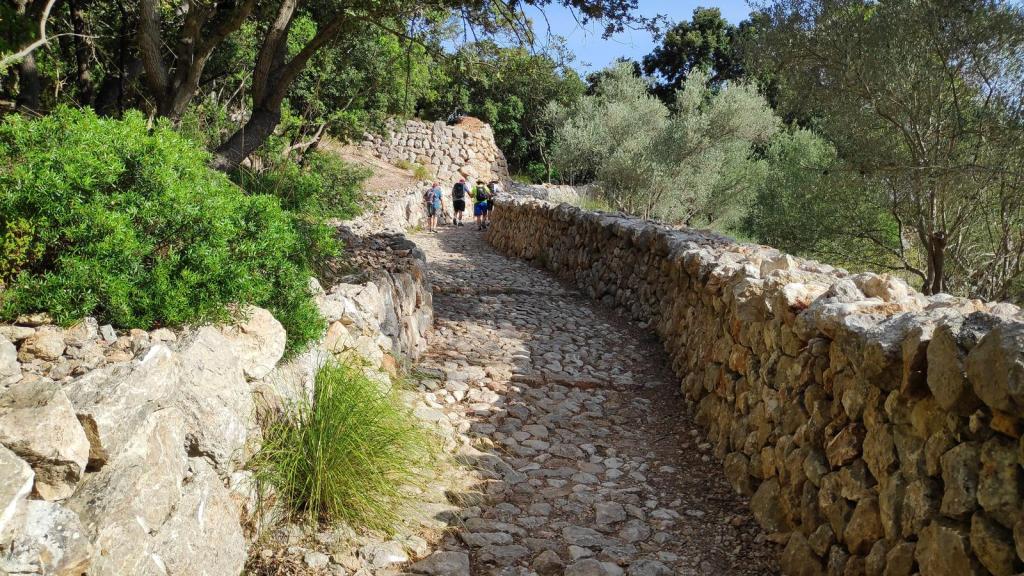Sendero empedrado rodeado de vegetación en la Ruta Sa Mola de Planicia, con grupos de excursionistas en el fondo.