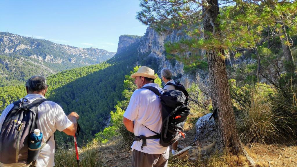Grupo de senderistas disfrutando de las vistas en la Ruta Penyal d'Honor-Cova de s'Aigua, rodeados de un paisaje montañoso y exuberante vegetación.