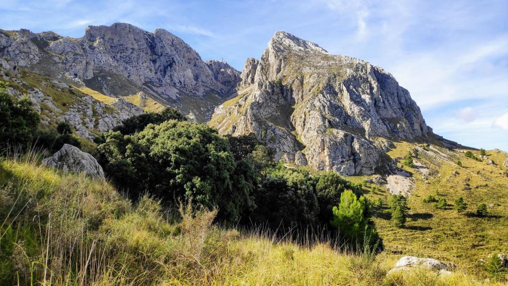 Vista panorámica de la Sierra de Tramuntana, mostrando formaciones rocosas imponentes y vegetación densa en primer plano.
