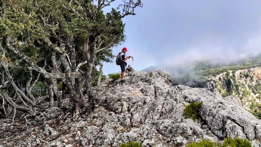 Hombre con mochila de pie en Puntals de Planicia, rodeado de árboles, observando el paisaje montañoso cubierto de nubes.