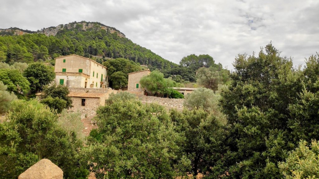 Vista de las casas de Cas Metge de estilo rústico entre árboles y montañas en un paisaje natural.